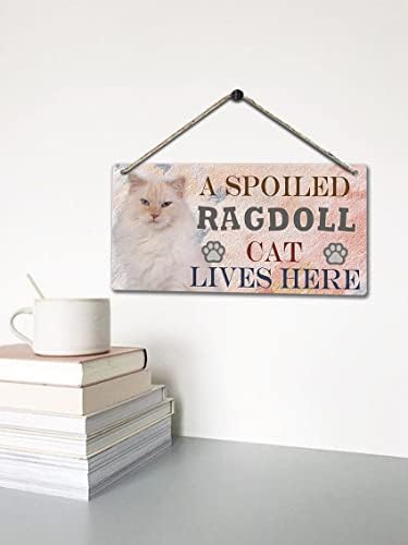 Şımarık bir Ragdoll Kedi Burada Yaşıyor Retro Ahşap Kamu Dekoratif Asılı İşareti Ev Kapı Çit Duvar Plakları Dekorasyon