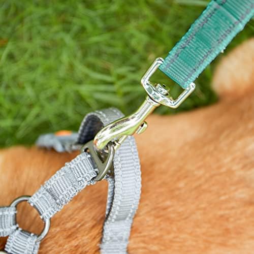 ANJISUNY 4 Ft Yansıtıcı Köpek Tasma Yansıtıcı İplikler ve Yürüyüş için Rahat Yastıklı Dayanıklı Naylon Köpek Tasması