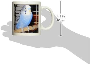 3dRose Kuşlar - Mavi Muhabbet Kuşu-Kupalar (mug_983_1)