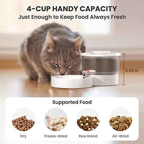 KÖPEK Bakımı Otomatik Kedi Besleyiciler, Otomatik Yavaş Besleyici Küçük Köpekler için Şişkinliği Önler, Porsiyon Kontrollü