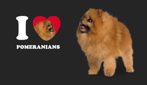 Ağaçsız Selamlar I Heart Pomeranians Artful Traveler Yeniden Kullanılabilir Pipetli Çift Duvarlı Soğuk Bardak, 16