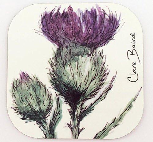 İskoç Devedikeni Tasarımında İskoçya Coaster Çiçeği