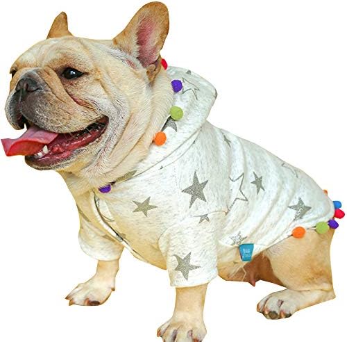 Pet gökkuşağı ışık yıldız baskı Festivali tarzı köpek Hoodies 2 bacaklar Pet giyim pamuk köpek kış kazak sıcak kazak