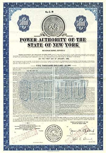 New York Eyaletinin Güç Otoritesi-5.000 Dolar