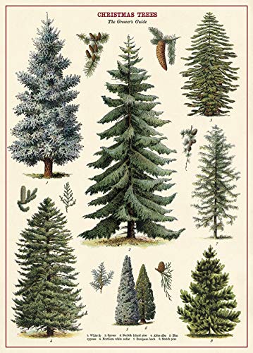 Cavallini & Co. Noel Ağacı Tablosu Dekoratif Kağıt Sayfası